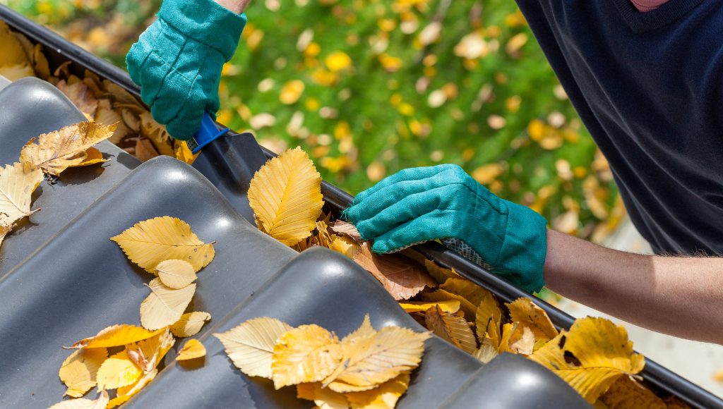 A homeowner clears leaves and other organic debris from gutters with a small trowel.