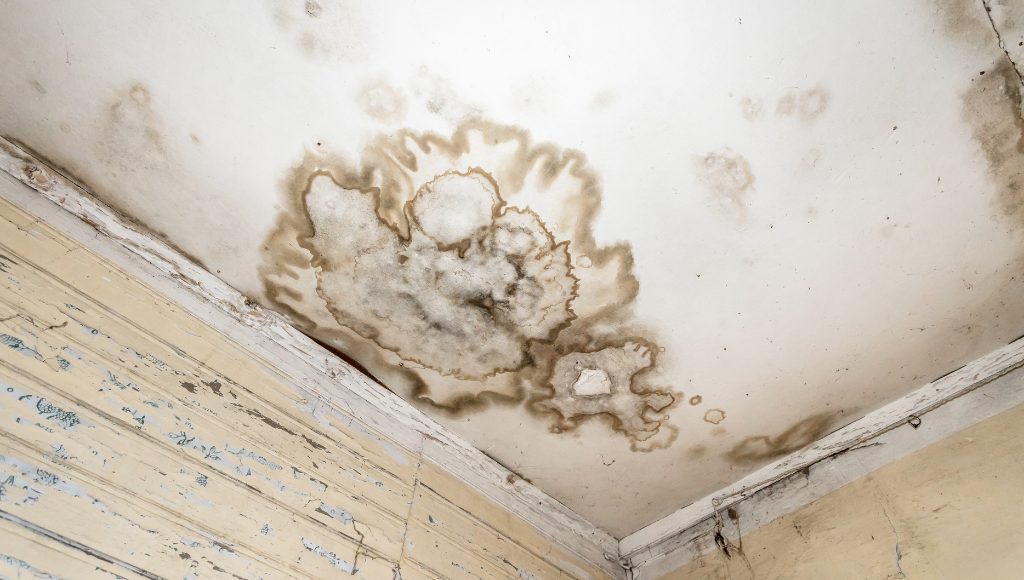 Interior water damage on a ceiling that has led to mold growing.