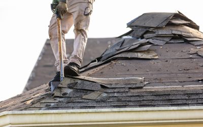 What Does Wind Damage Look Like on a Roof?