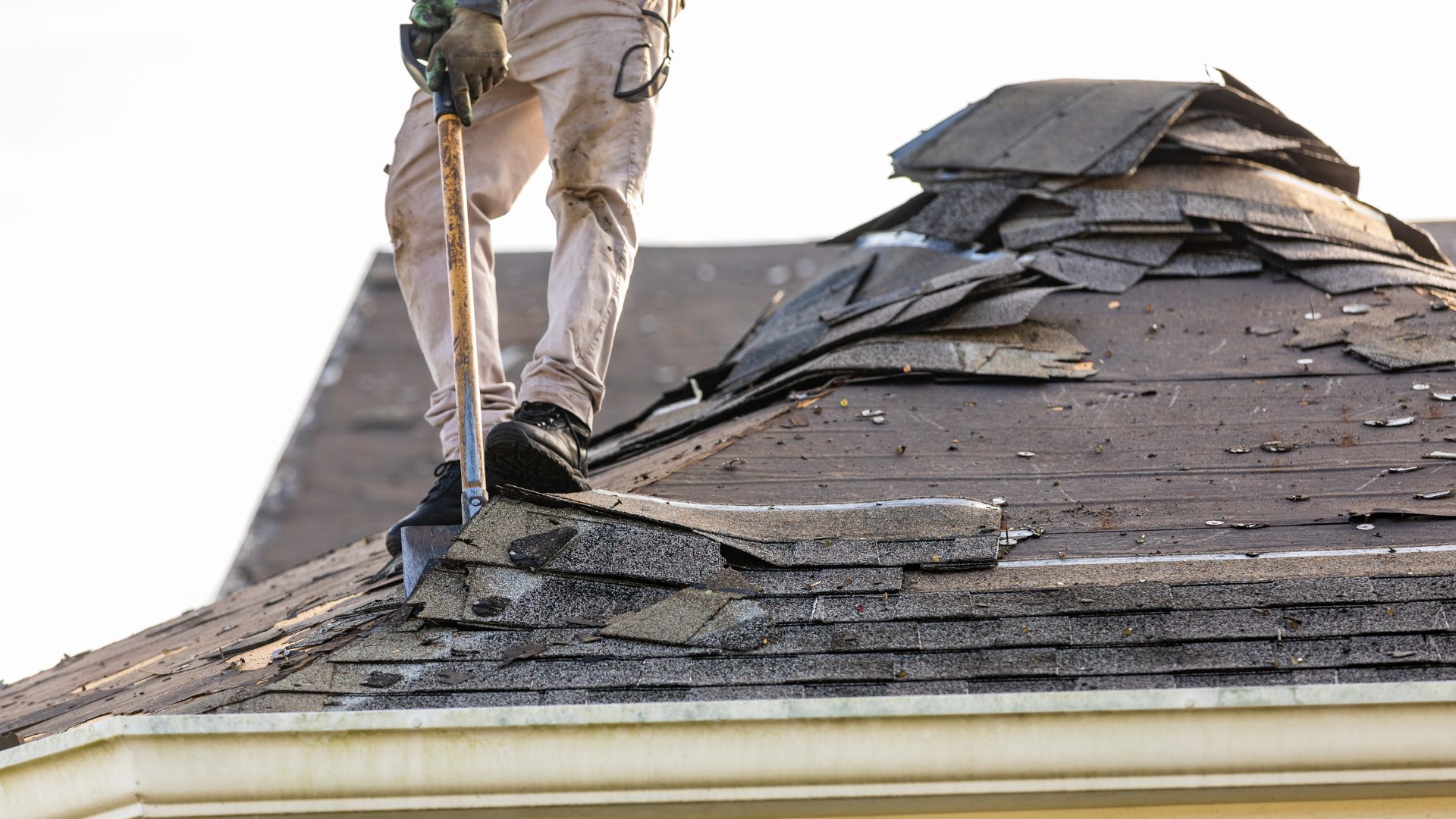 roof-restoration A roofer is removing damaged sections of shingles with a shovel.