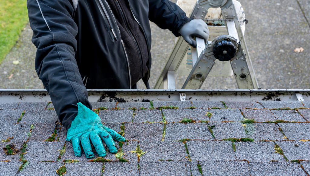 A homeowner stands on a ladder and inspects his roof shingles wearing a pair of rubber gloves.