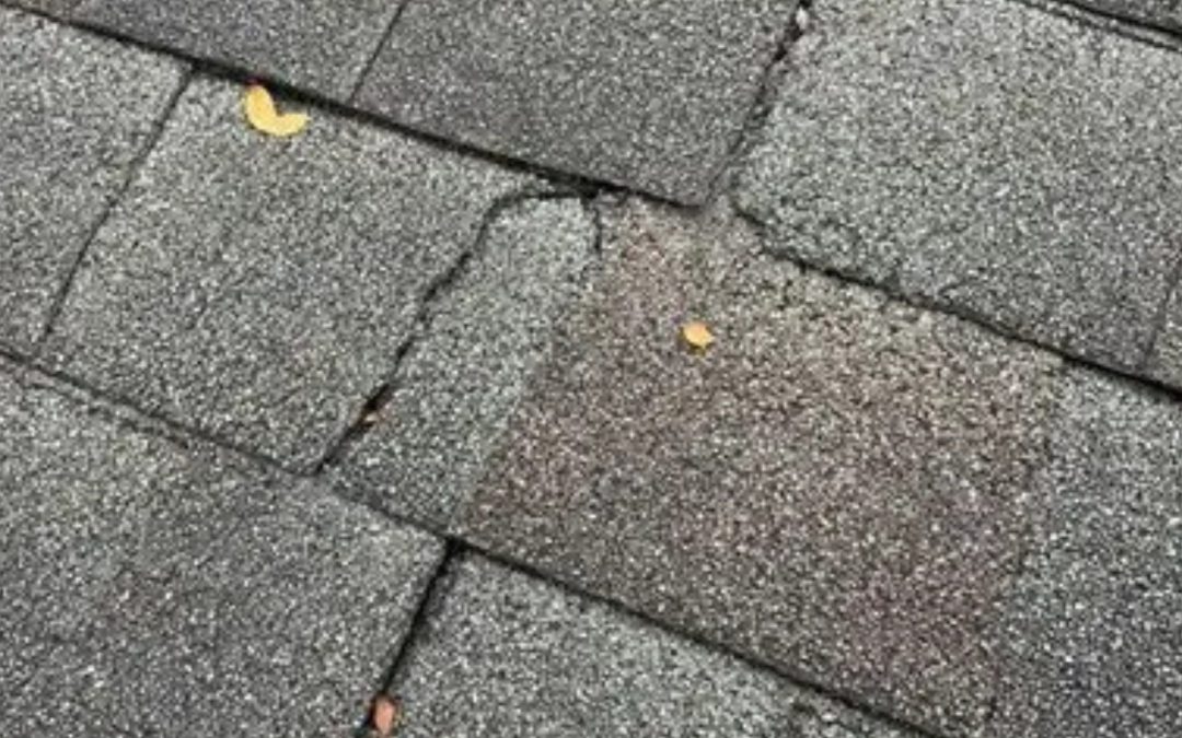 A close-up of an asphalt shingle with a large through-crack in it.