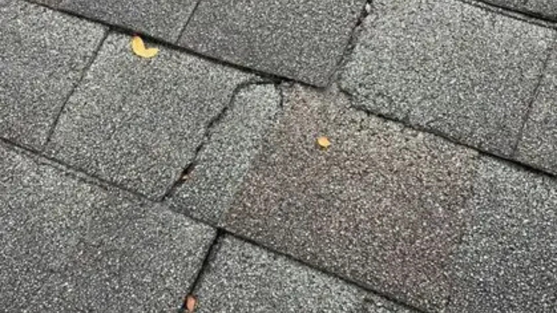 roof-restoration A close-up of an asphalt shingle with a large through-crack in it.