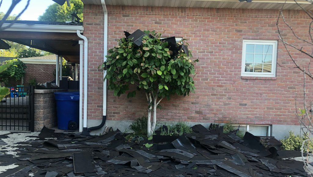Shingles from a full roof tear-off litter the front yard of a suburban house. Some have even fallen into the leaves of a small tree next to the house.