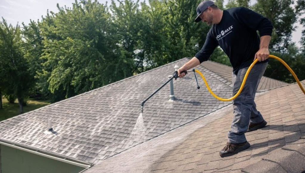 A professional contractor stands on top of an asphalt shingle roof, spraying it with Roof Maxx restoration treatment.
