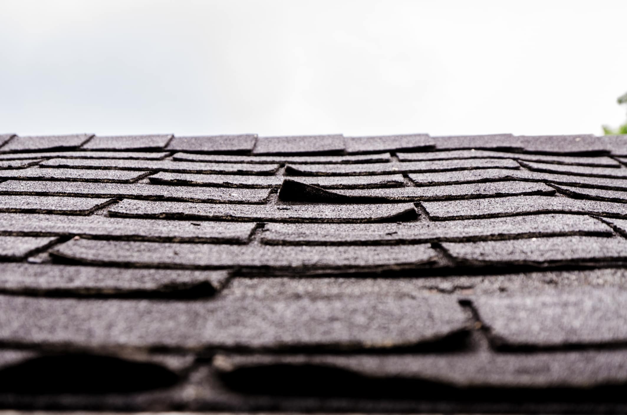 Worn curling asphalt shingles Asphalt shingles curling and lifting from age and UV damage