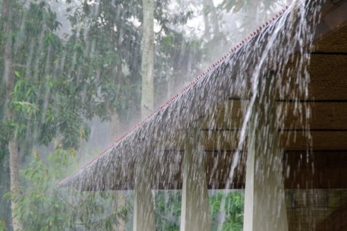 Worn curling asphalt shingles Asphalt shingles curling and lifting from age and UV damage